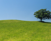 Are your electrics eco-friendly?