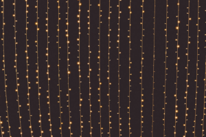 Store your lights properly to prevent damage to the wires and connections for next year
